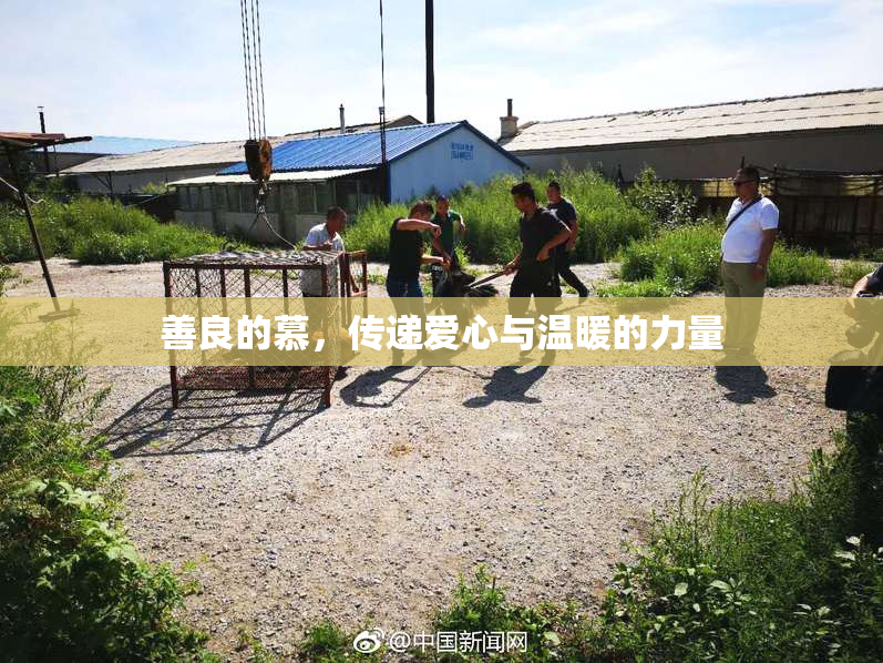 善良的慕，传递爱心与温暖的力量