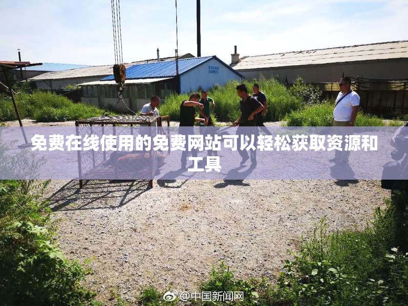 免费在线使用的免费网站可以轻松获取资源和工具