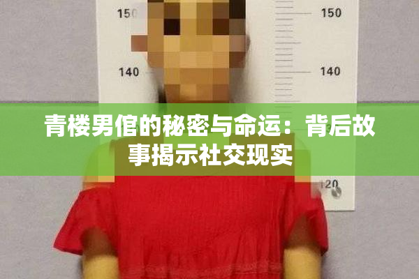 青楼男倌的秘密与命运：背后故事揭示社交现实