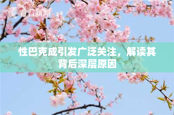 性巴克成引发广泛关注，解读其背后深层原因