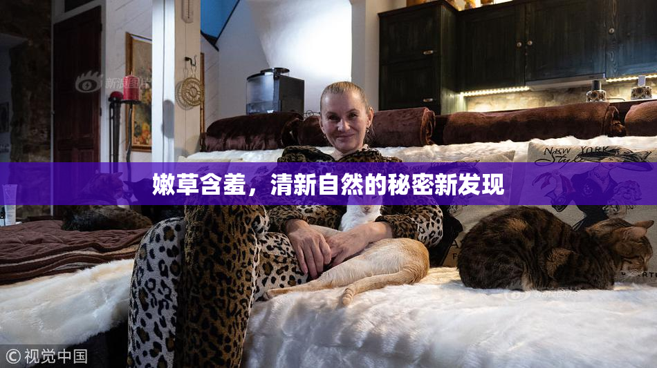 嫩草含羞，清新自然的秘密新发现