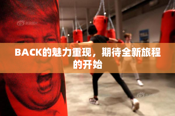 BACK的魅力重现，期待全新旅程的开始