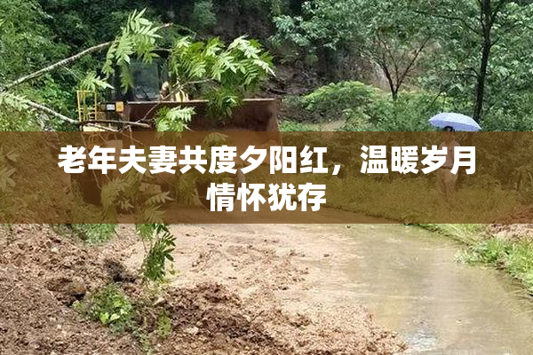 老年夫妻共度夕阳红，温暖岁月情怀犹存