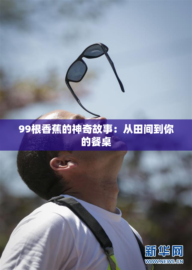 99根香蕉的神奇故事：从田间到你的餐桌
