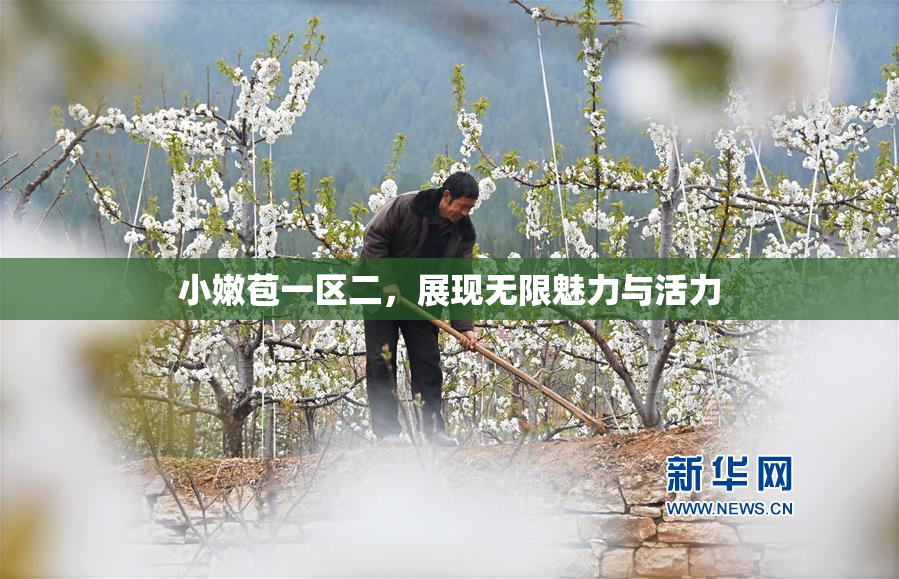 小嫩苞一区二，展现无限魅力与活力