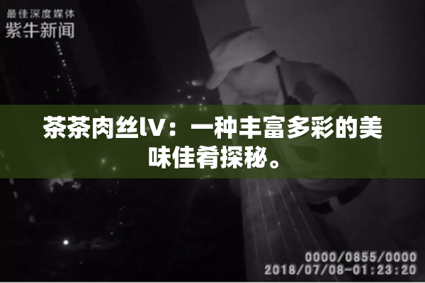 茶茶肉丝lV：一种丰富多彩的美味佳肴探秘。