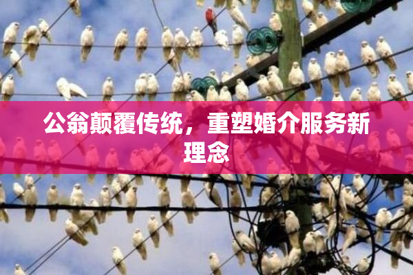 公翁颠覆传统，重塑婚介服务新理念