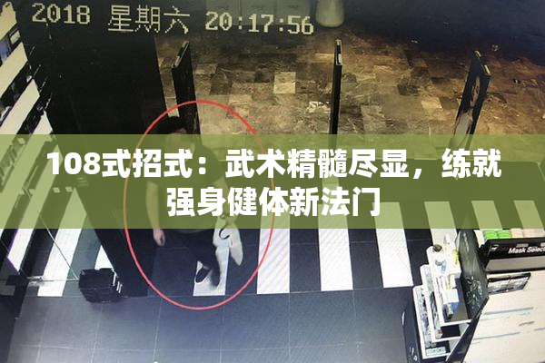 108式招式：武术精髓尽显，练就强身健体新法门