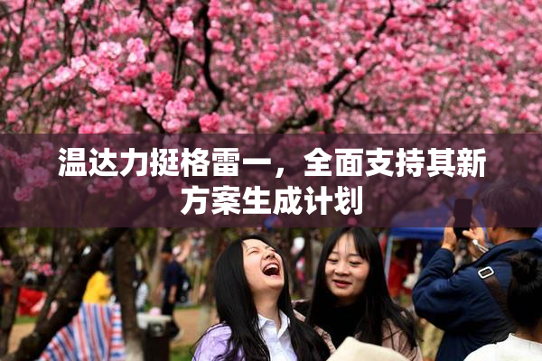 温达力挺格雷一，全面支持其新方案生成计划