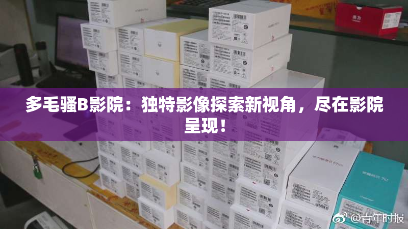 多毛骚B影院：独特影像探索新视角，尽在影院呈现！