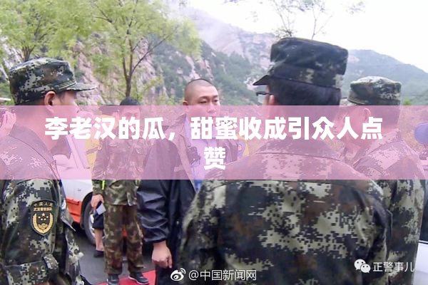 李老汉的瓜，甜蜜收成引众人点赞