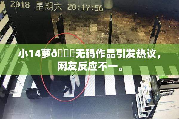小14萝🔞无码作品引发热议，网友反应不一。