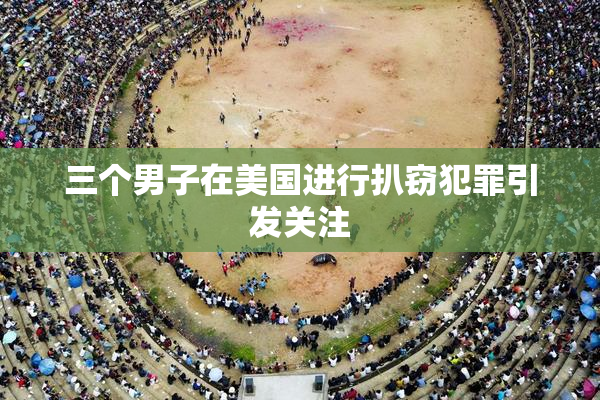 三个男子在美国进行扒窃犯罪引发关注