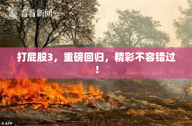 打屁股3，重磅回归，精彩不容错过！