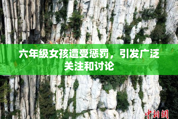 六年级女孩遭受惩罚，引发广泛关注和讨论