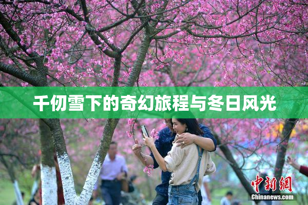 千仞雪下的奇幻旅程与冬日风光
