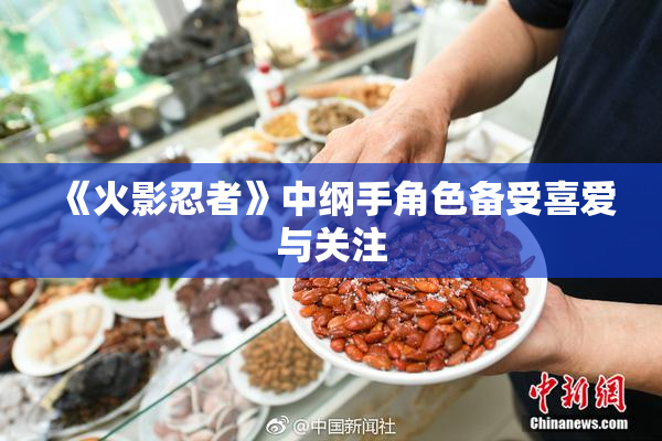 《火影忍者》中纲手角色备受喜爱与关注