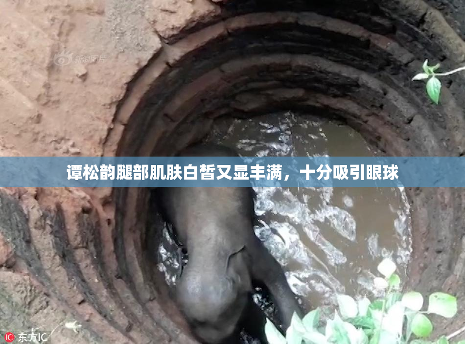 谭松韵腿部肌肤白皙又显丰满，十分吸引眼球
