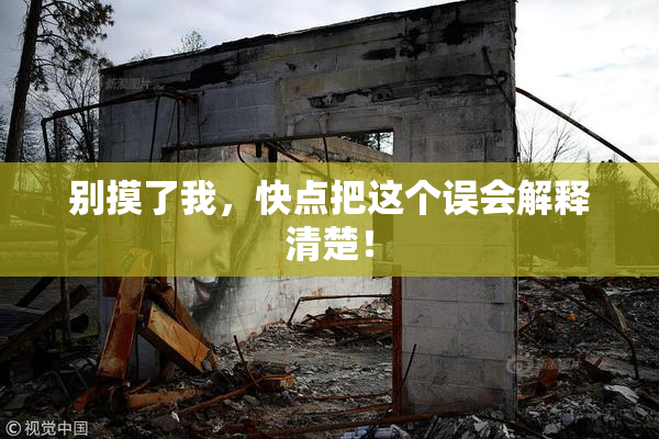 别摸了我，快点把这个误会解释清楚！