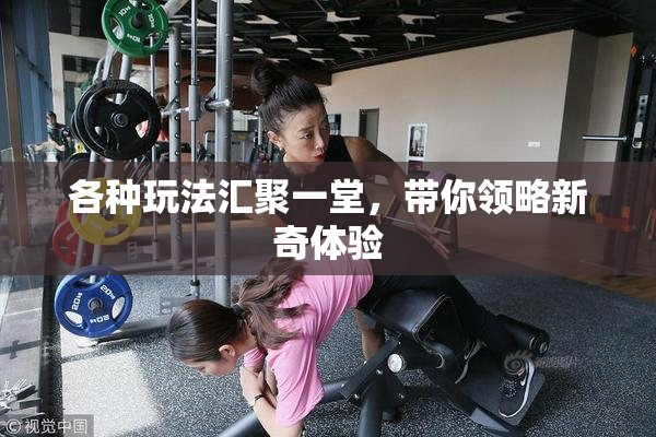 各种玩法汇聚一堂，带你领略新奇体验