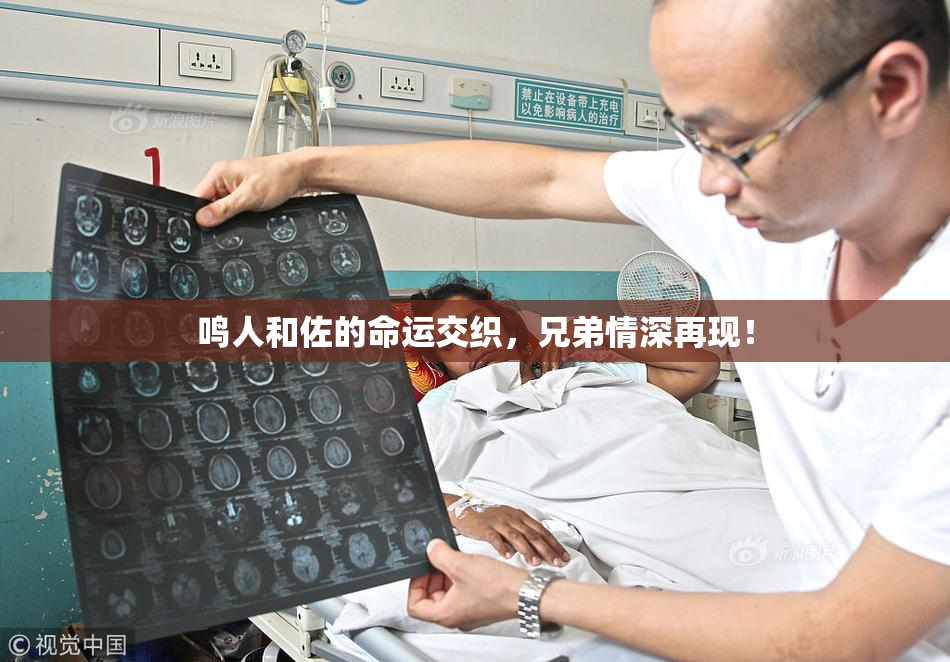 鸣人和佐的命运交织，兄弟情深再现！