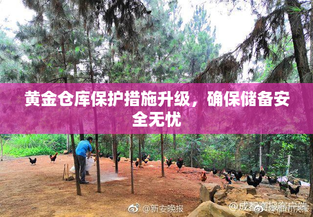 黄金仓库保护措施升级，确保储备安全无忧