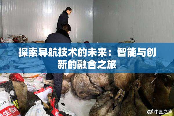 探索导航技术的未来：智能与创新的融合之旅
