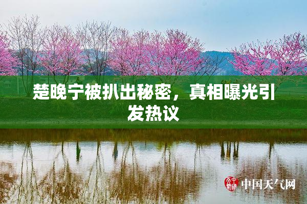 楚晚宁被扒出秘密，真相曝光引发热议