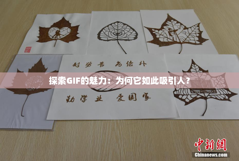 探索GIF的魅力：为何它如此吸引人？