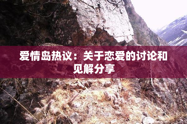 爱情岛热议：关于恋爱的讨论和见解分享