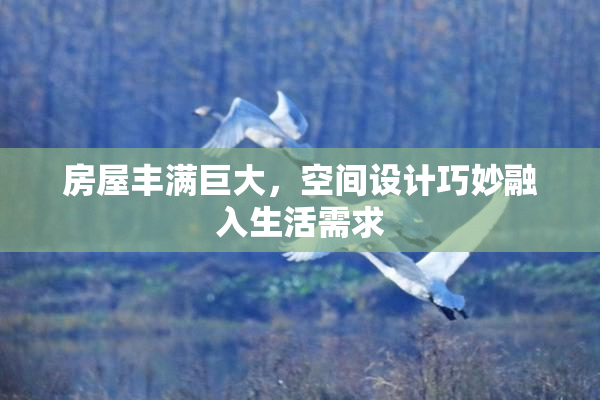 房屋丰满巨大，空间设计巧妙融入生活需求