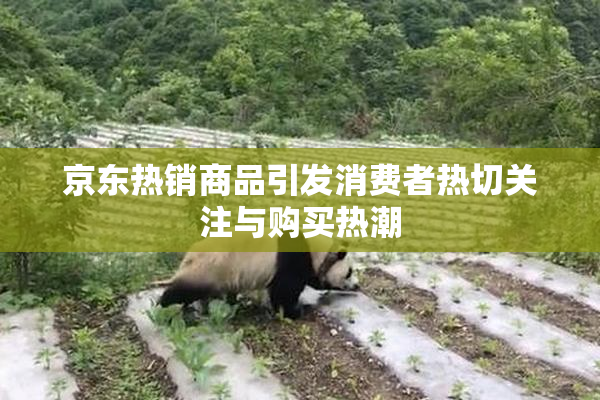 京东热销商品引发消费者热切关注与购买热潮