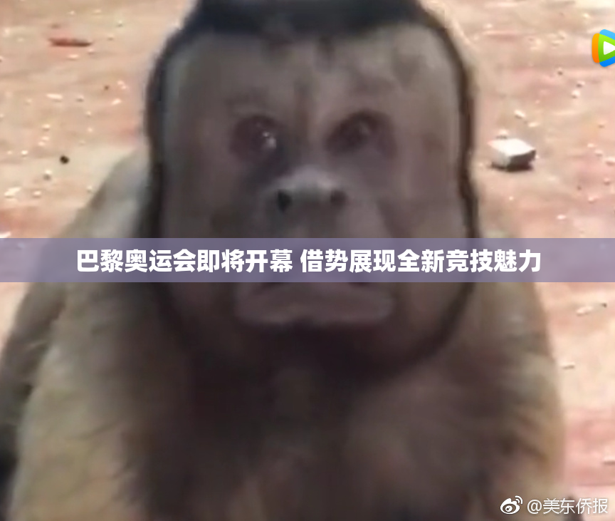 巴黎奥运会即将开幕 借势展现全新竞技魅力