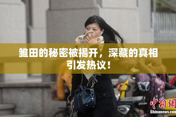 雏田的秘密被揭开，深藏的真相引发热议！