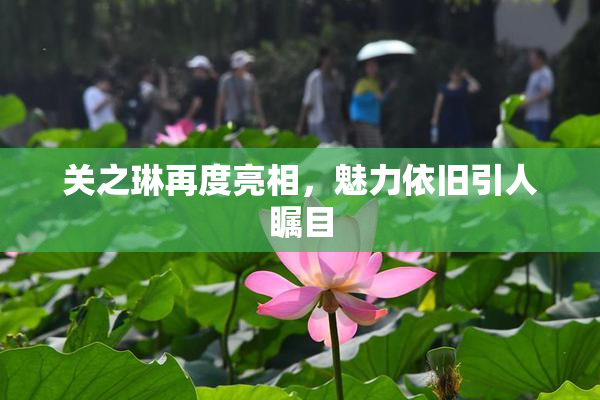 关之琳再度亮相，魅力依旧引人瞩目