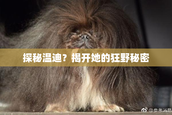 探秘温迪？揭开她的狂野秘密