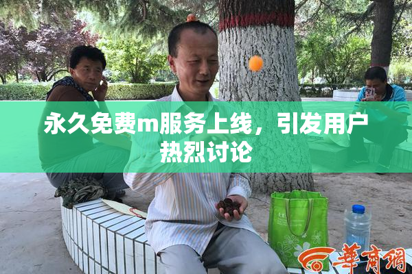 永久免费m服务上线，引发用户热烈讨论