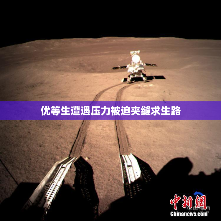 优等生遭遇压力被迫夹缝求生路