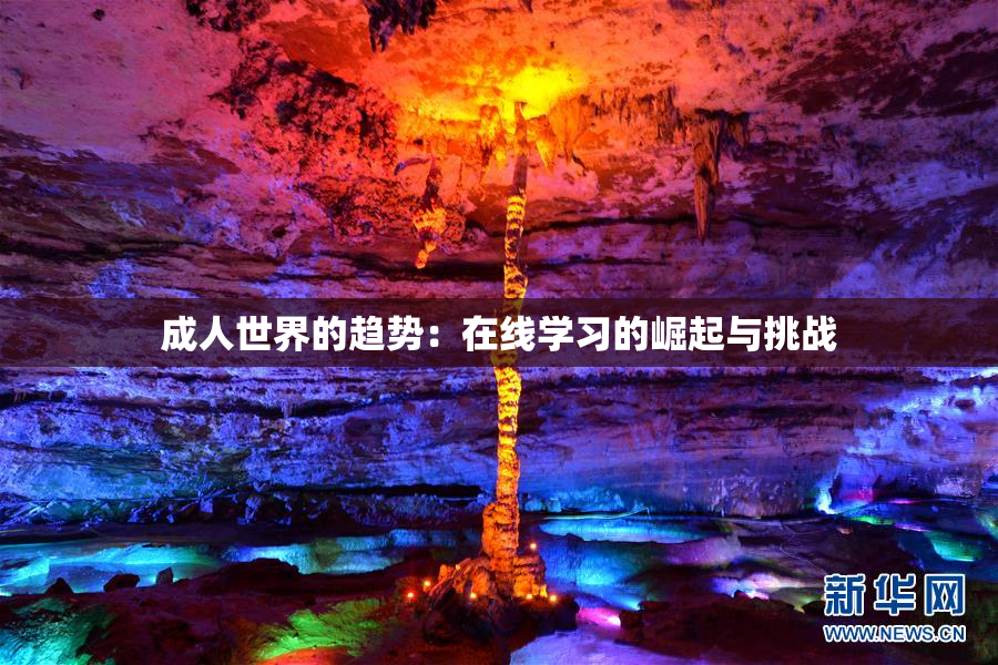成人世界的趋势：在线学习的崛起与挑战