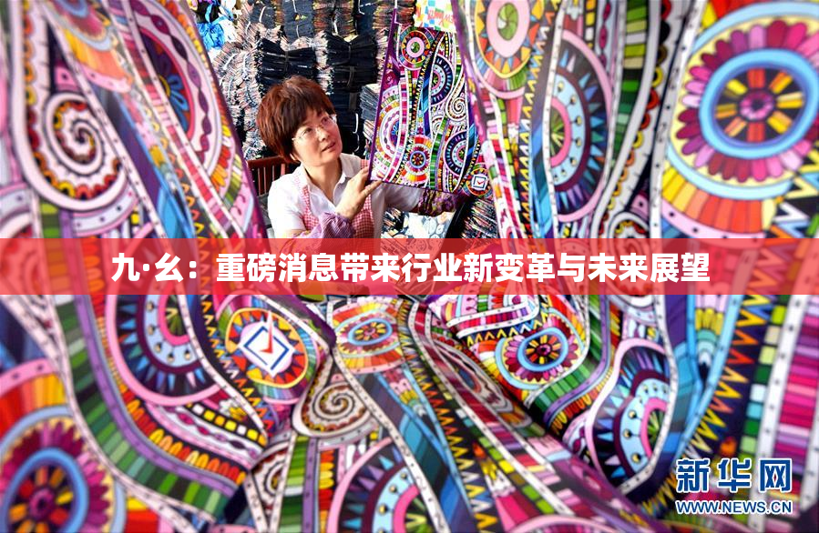 九·幺：重磅消息带来行业新变革与未来展望