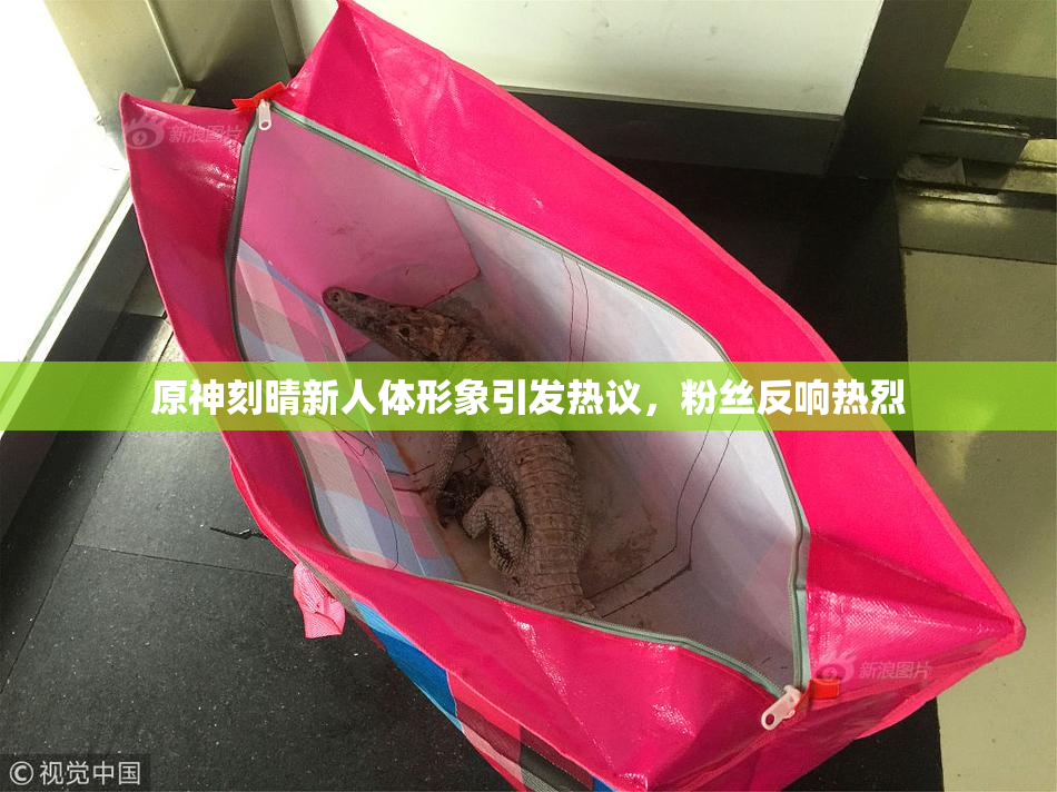 原神刻晴新人体形象引发热议，粉丝反响热烈