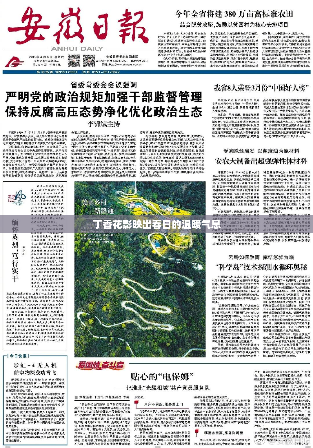 丁香花影映出春日的温暖气息