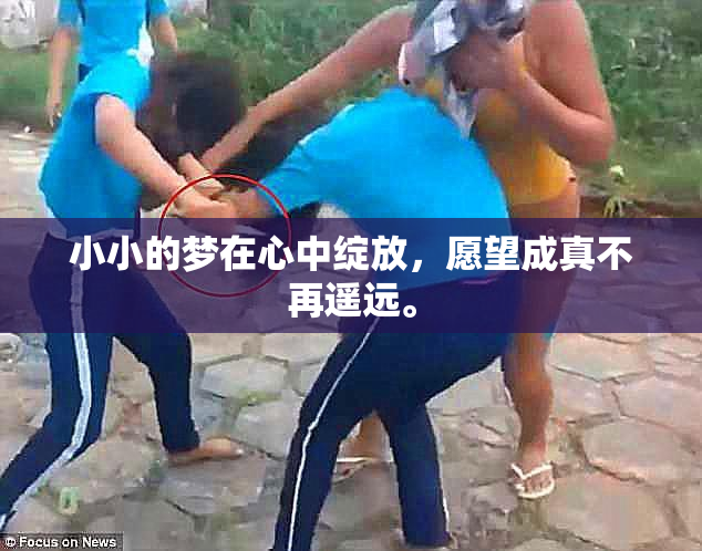 小小的梦在心中绽放，愿望成真不再遥远。
