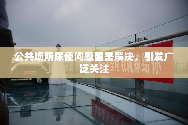 公共场所尿便问题亟需解决，引发广泛关注