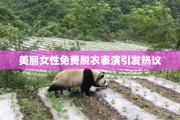 美丽女性免费脱衣表演引发热议