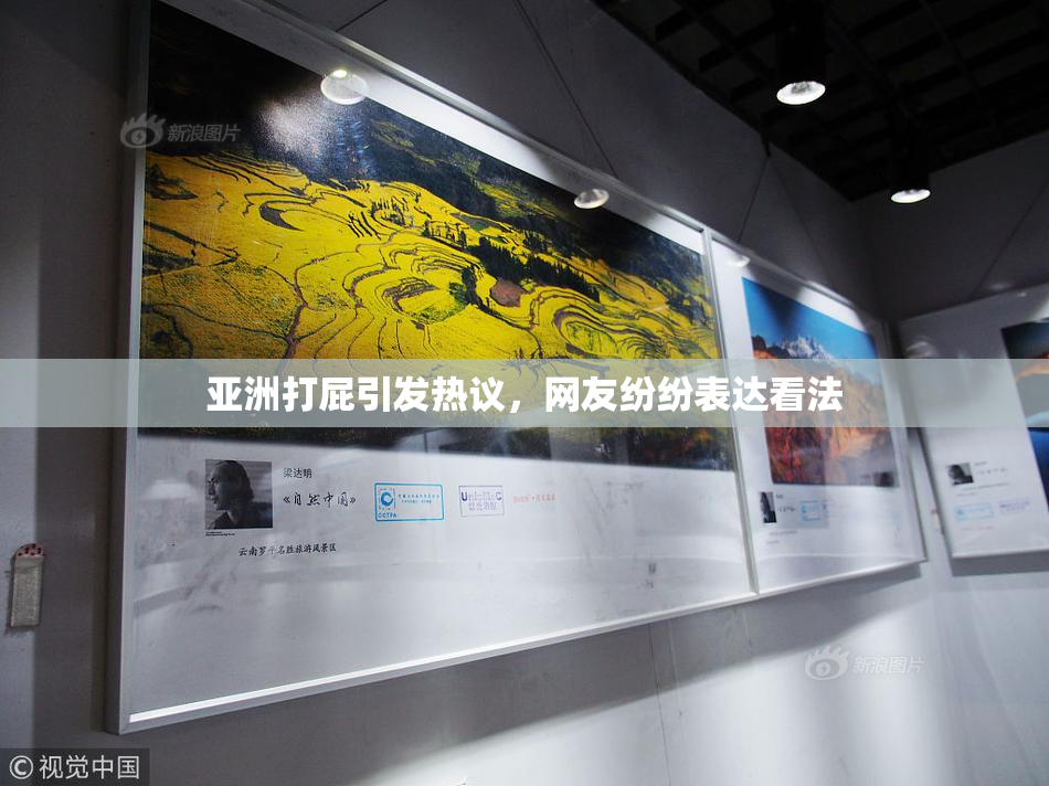 亚洲打屁引发热议，网友纷纷表达看法