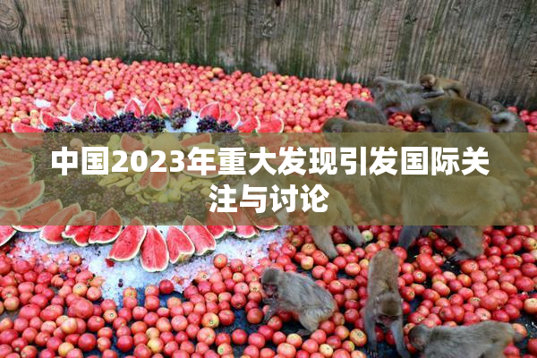 中国2023年重大发现引发国际关注与讨论