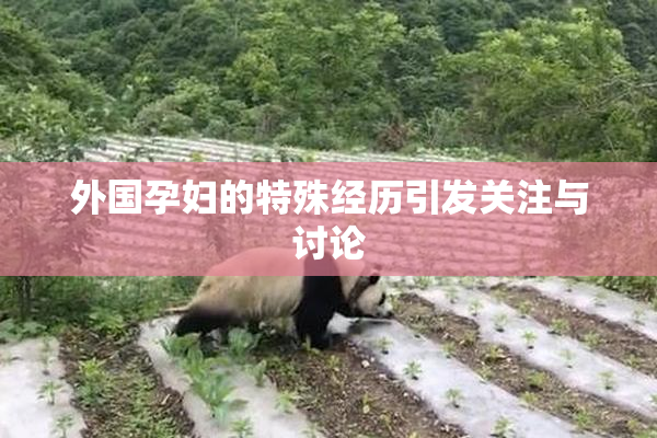 外国孕妇的特殊经历引发关注与讨论