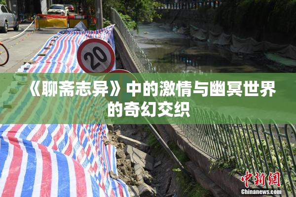 《聊斋志异》中的激情与幽冥世界的奇幻交织