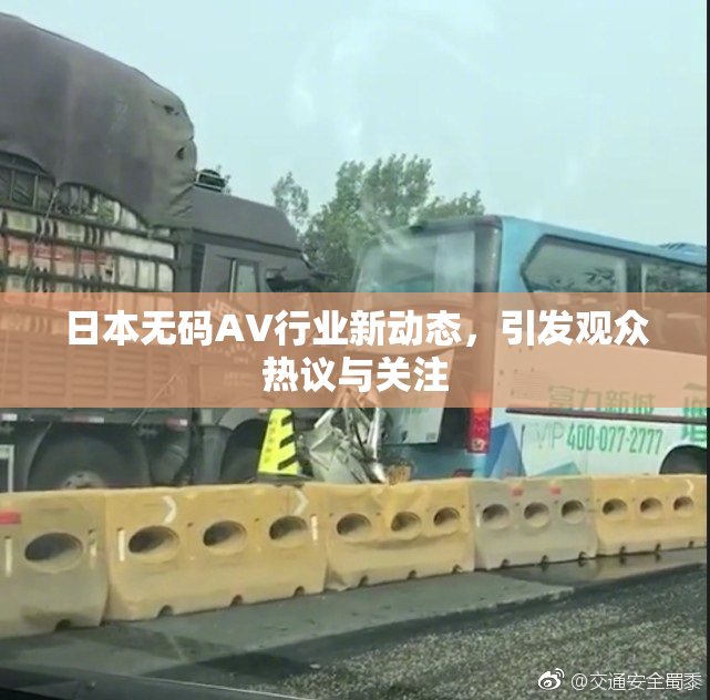日本无码AV行业新动态，引发观众热议与关注